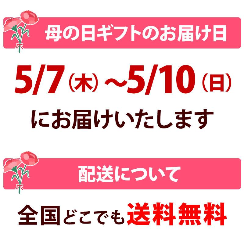 点心 冷凍 赤坂四川飯店監修 中華点心4種21個セット 母の日 父の日 餃子 小籠包 珍珠丸子 湯煎 中華 点心セット 簡単調理 陳建一 爆買 |  | 07