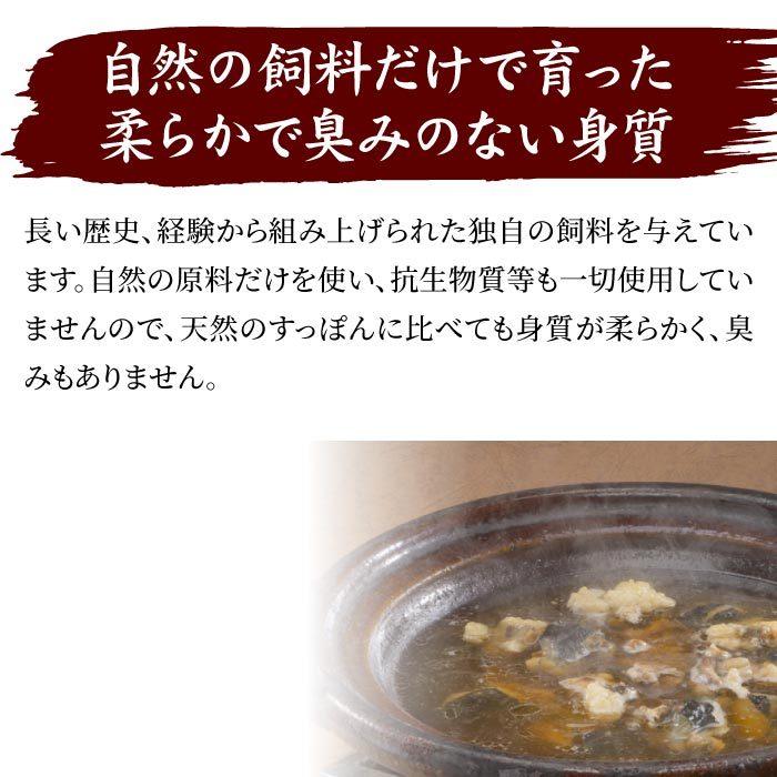 浜名湖の極上すっぽん鍋セット 400g（200g×2袋） 服部中村養鼈場 スッポン 服部もの 服部中村養べつ場 切り身 すっぽん料理 鍋 すっぽん鍋の画像