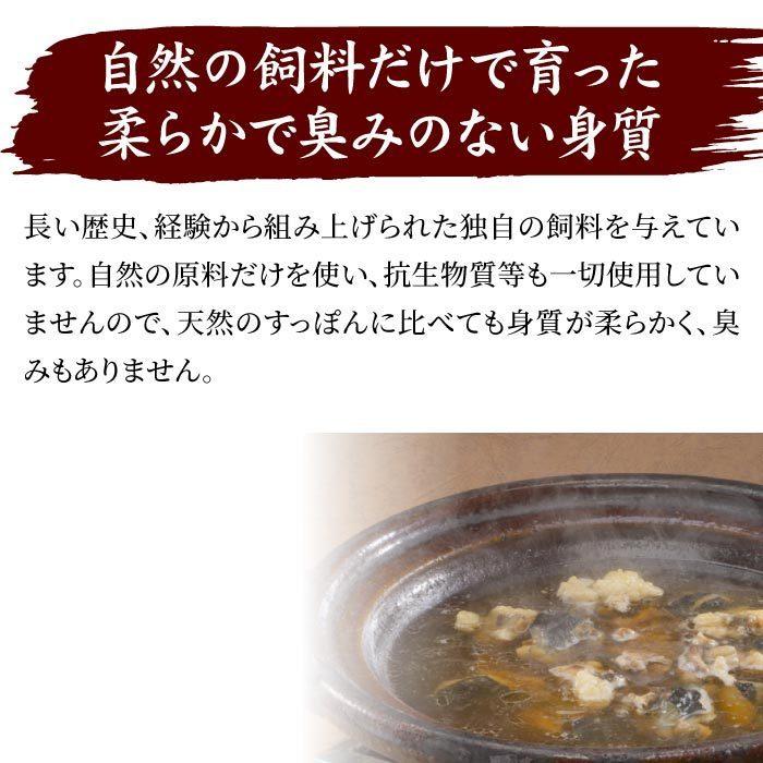 浜名湖の極上すっぽん鍋セット 600g（200g×3パック） 服部中村養鼈場 スッポン 服部もの 服部中村養べつ場 切り身 すっぽん料理 鍋 すっぽん鍋の画像