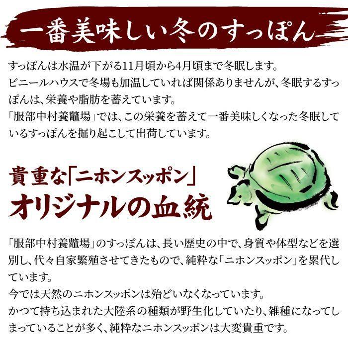 浜名湖の極上すっぽん鍋セット 600g（200g×3パック） 服部中村養鼈場 スッポン 服部もの 服部中村養べつ場 切り身 すっぽん料理 鍋 すっぽん鍋の画像