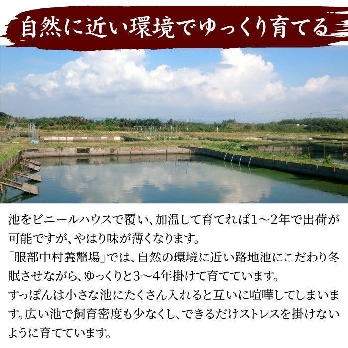 浜名湖の極上すっぽん鍋セット 800g（甲羅付き／400g×2パック） 服部中村養鼈場 スッポン 服部もの 服部中村養べつ場 切り身 すっぽん料理 鍋の画像