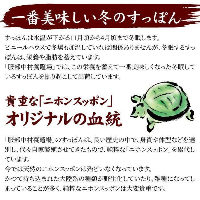 浜名湖の極上すっぽん鍋セット 800g（甲羅付き／400g×2パック） 服部中村養鼈場 スッポン 服部もの 服部中村養べつ場 切り身 すっぽん料理 鍋の画像