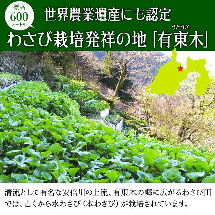 わさび栽培発祥の地「有東木」の本わさび 大サイズ1本（60g〜100g