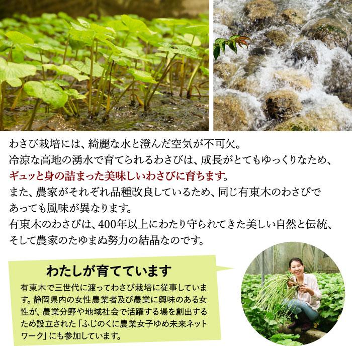 わさび栽培発祥の地「有東木」の本わさび 大サイズ1本（60g〜100g