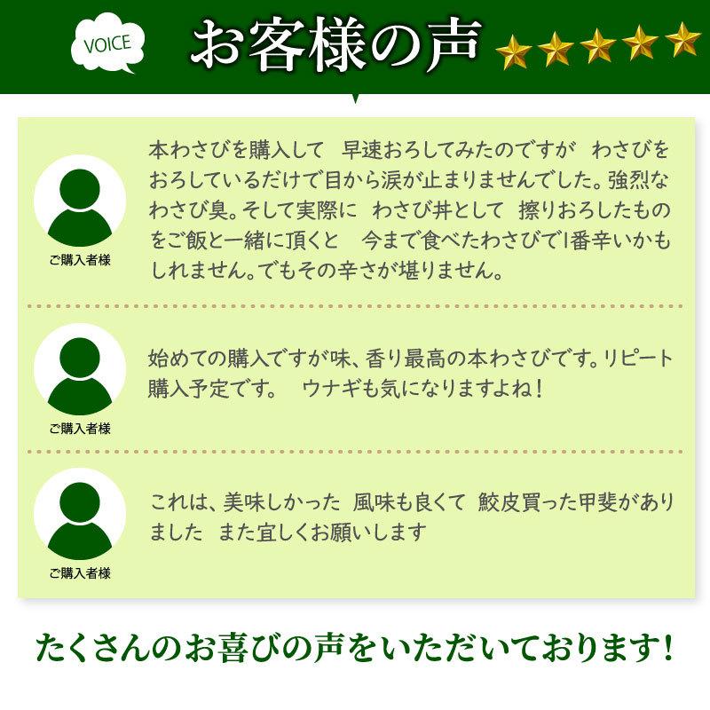 本生わさび 農家直送 ３月３１日収穫発送予定 使い切りサイズ 楽天市場】本わさび中サイズ3本＆さめ吉（ミニ）セット わさび 本
