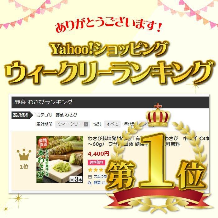 わさび栽培発祥の地「有東木」の本わさび 中サイズ3本セット（1本40g
