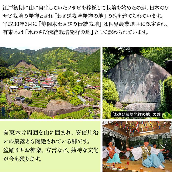 わさび栽培発祥の地「有東木」の本わさび 中サイズ3本セット（1本40g