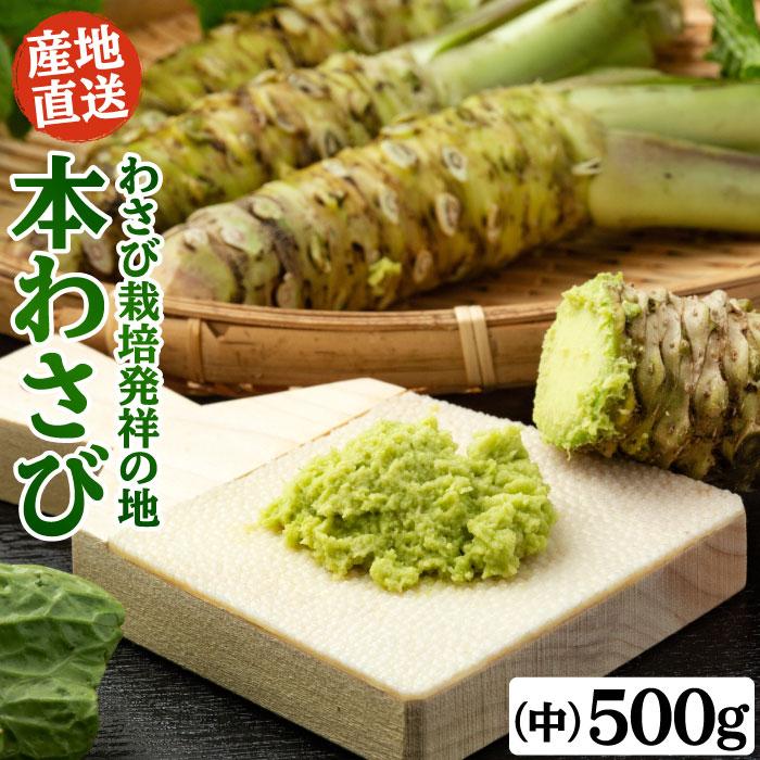 わさび栽培発祥の地「有東木」の本わさび 中サイズ500gセット（1本40g
