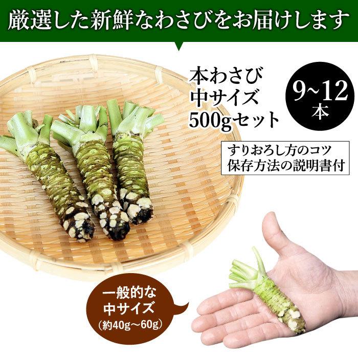 わさび栽培発祥の地「有東木」の本わさび 中サイズ500gセット(1本40g〜60g) ワサビ 山葵 静岡 有東木 お得 送料無料 :was-m-500:大五うなぎ工房 - 通販 - Yahoo!ショッピング わさび栽培発祥の地「有東木」の本わさび 中サイズ500gセット(1本40g〜60g) ワサビ 山葵 静岡 有東木 お得 送料無料 :was-m-500:大五うなぎ工房 - 通販 - Yahoo!ショッピング