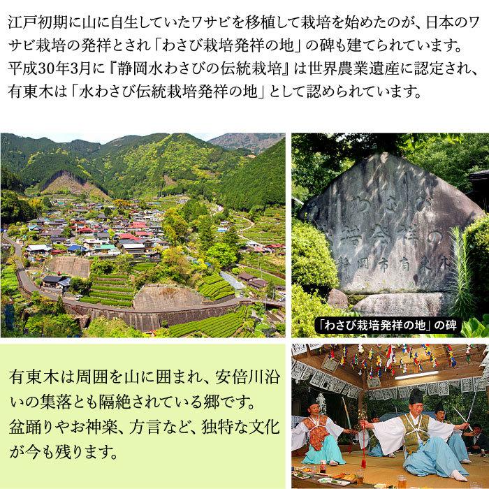 わさび栽培発祥の地「有東木」の本わさび 特大サイズ1本（1本100g以上