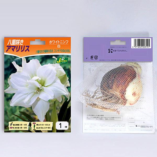 アマリリス 八重咲き 大球 ホワイトニンフ 白 球根 1球入り袋詰め 春植え 球根 Kk Als012 1kd 大郷屋 通販 Yahoo ショッピング