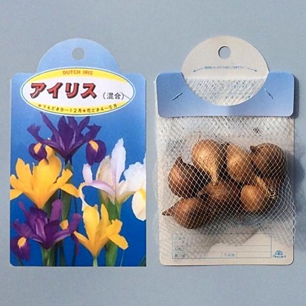アイリス 混合 4種混合 球根 7球入り袋詰め アイリス ダッチアイリス 秋植え 球根 Kk Ar Xkg1 0007kd 大郷屋 通販 Yahoo ショッピング