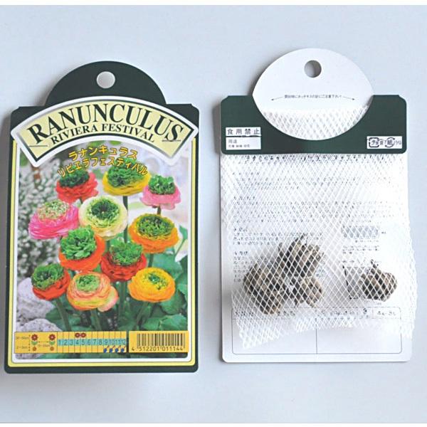 ラナンキュラス 球根4球 楽天市場】球根 ラナンキュラス プレミアム 4球入【お届け中 小