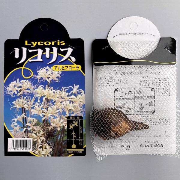 22新作 リコリス アルビフローラ 白 球根 1球 リコリス 夏植え 球根 Noteworthy Collectibles Com