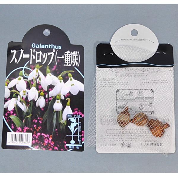 スノードロップ 白 球根 3球 スノードロップ 秋植え 球根 Kk Sd Sdp1 0003kd 大郷屋 通販 Yahoo ショッピング