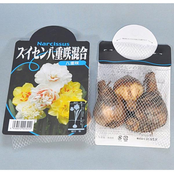 がんどうあつし『スイセン』 26174_1.jpg