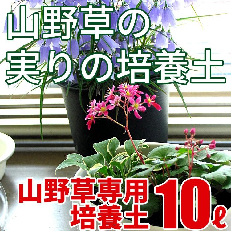 2534円 【​限​定​販​売​】 花ごころ 山野草の土12L×3袋