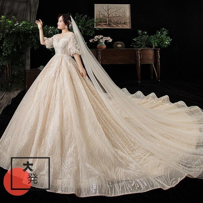 クーポン発行 ウエディングドレス 可愛い花嫁ドレス 大きいサイズ 体型カバー 結婚式ドレス 披露宴 ぽっちゃり 贅沢 前撮り 編み上げ 二次会 当日出荷 Clinicagastroservice Com Br