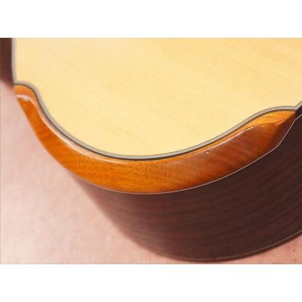 Rosso C5-TD65LH/SP 左用 Rosso ロッソ C5-TD65/SP モダンなデザインとコストパフォーマンスに