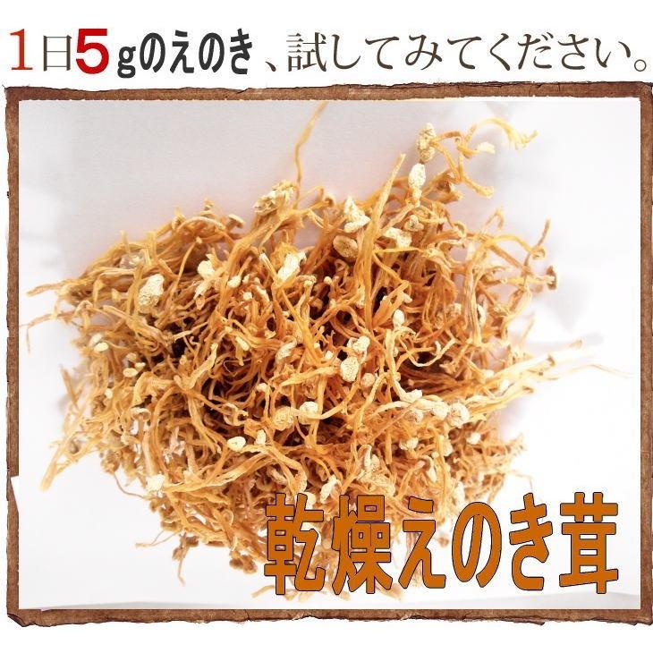 えのき茶 信州長野県産 無添加 50gx5袋 乾燥えのき茸 干しえのき