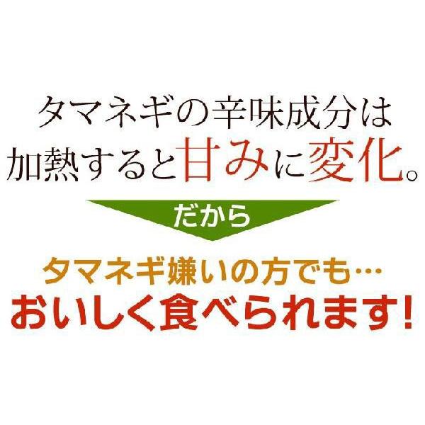 たまねぎ氷 ２０袋 ３５０ｇ 正規販売店 村上祥子先生監修 元祖玉ねぎ氷 Tamanegi 信州美味本舗 通販 Yahoo ショッピング