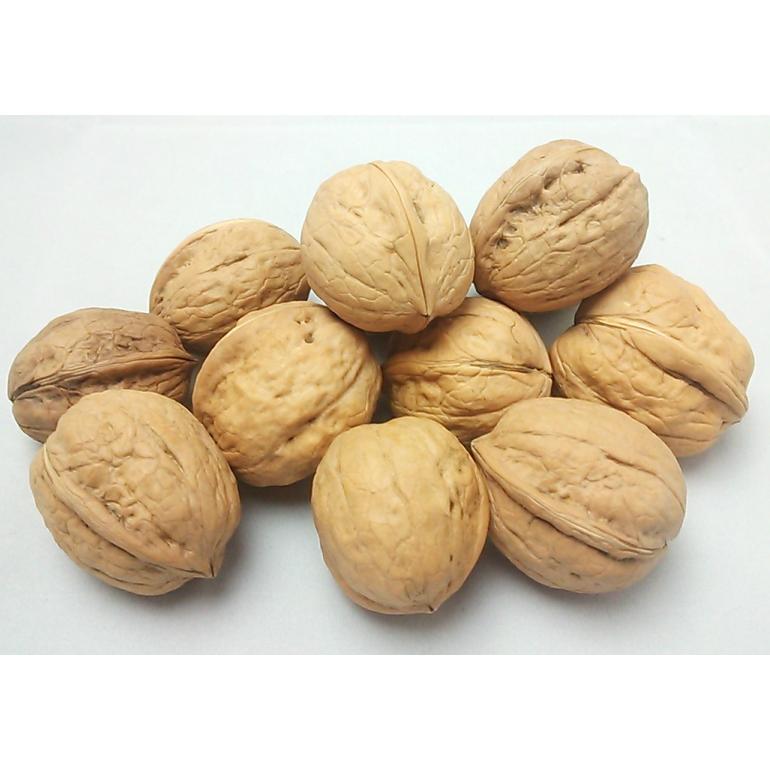 国産くるみ殻付きタイプ 500g（400g＋100g増量中）特別選別