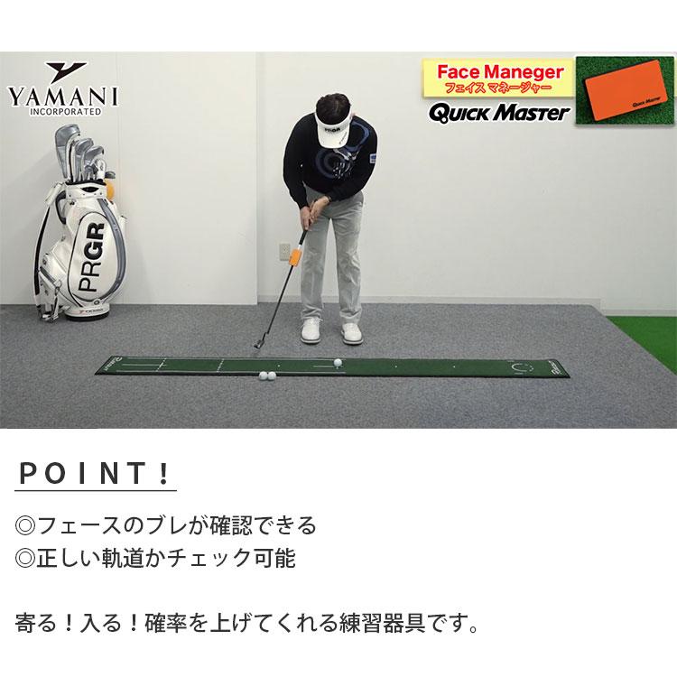 練習器具) クイックマスター フェイスマネージャー QMMGNT31 Quick