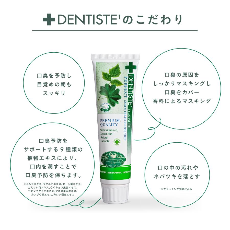 DENTISTE'（デンティス） 歯磨き粉 口臭予防 チューブ 100g 1本