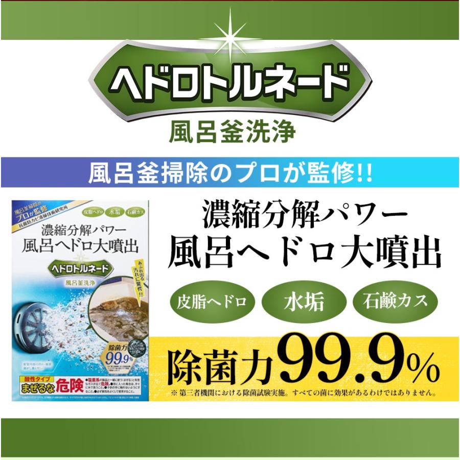 お風呂掃除 風呂釜洗浄剤 ヘドロトルネード 配管洗浄剤 1つ穴 ふろがま