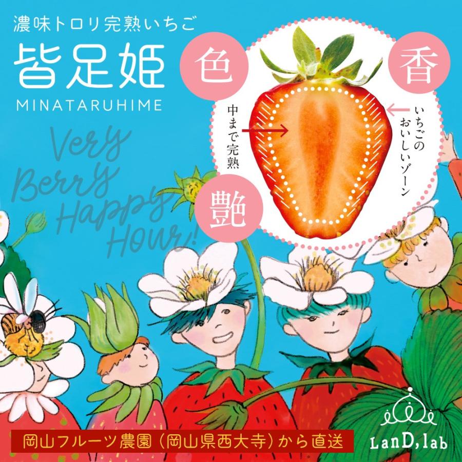 いちご の国 ギフト［ 2L サイズ（36粒）］濃味トロリ 完熟 いちご『 皆足姫 （みなたるひめ） 』 |  | 01