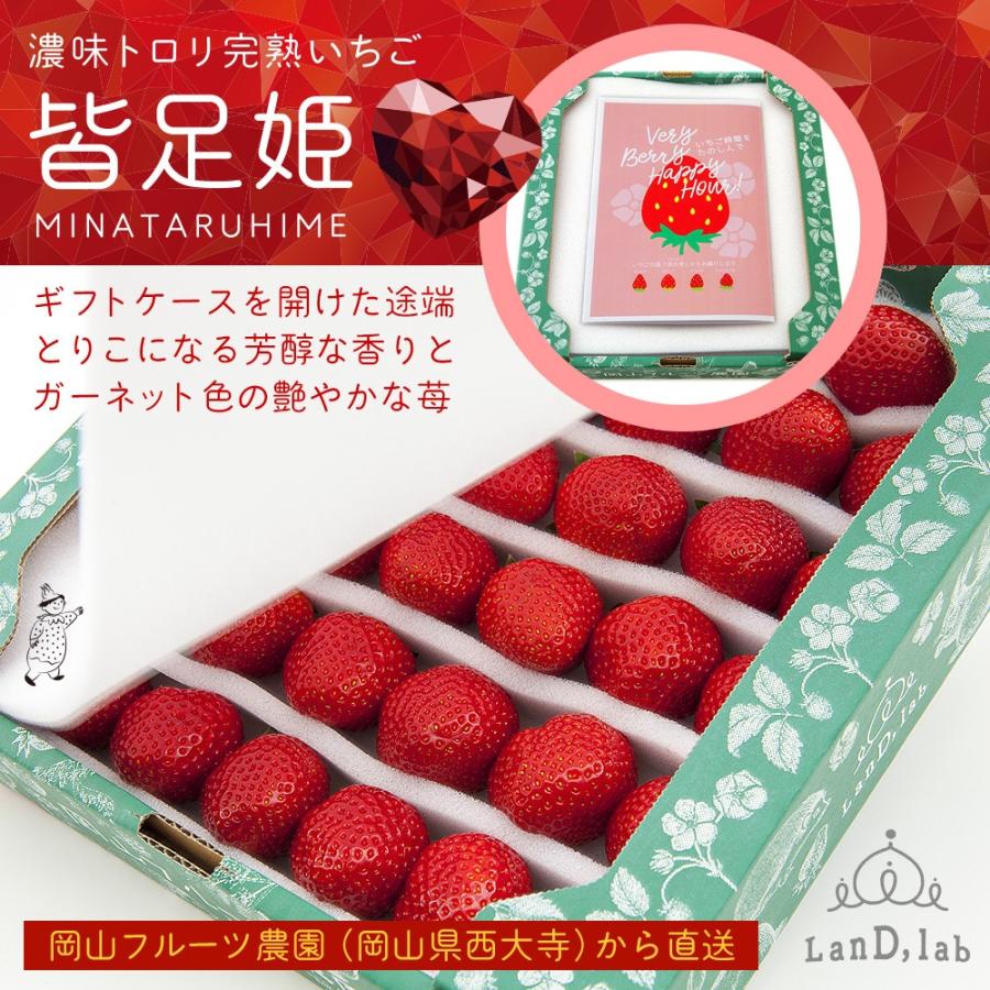 いちご の国 ギフト［ 2L サイズ（36粒）］濃味トロリ 完熟 いちご『 皆足姫 （みなたるひめ） 』 |  | 03