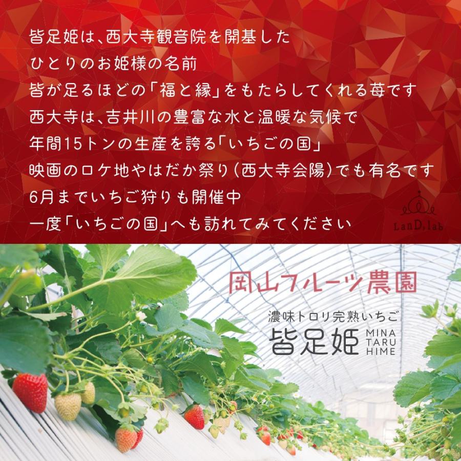 いちご の国 ギフト［ 2L サイズ（36粒）］濃味トロリ 完熟 いちご『 皆足姫 （みなたるひめ） 』 |  | 04
