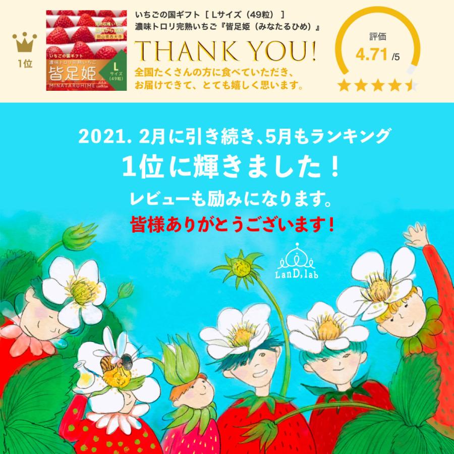 いちご の国 ギフト［ L サイズ（49粒）］濃味トロリ 完熟 いちご『 皆足姫 （みなたるひめ） 』 |  | 05