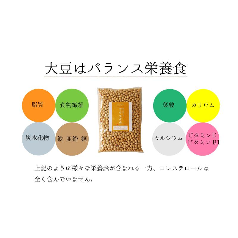 大豆 10kg 国産 熊本県産 フクユタカ ふくゆたか 5kg x2袋入り 業務用