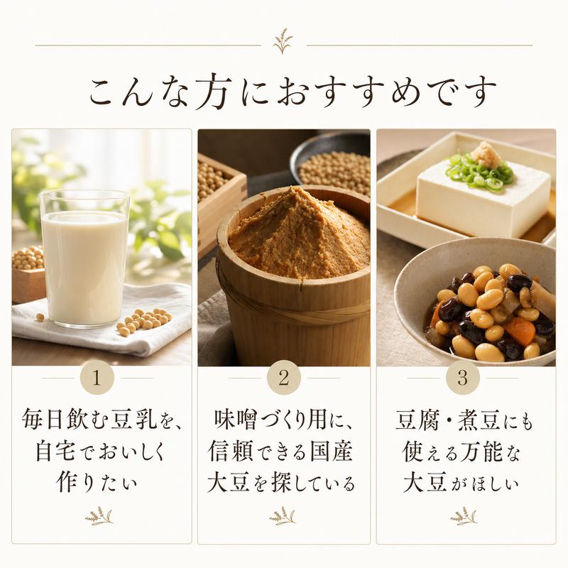 大豆 3kg 国産 フクユタカ ふくゆたか 業務用 国産大豆 令和7年産 味噌