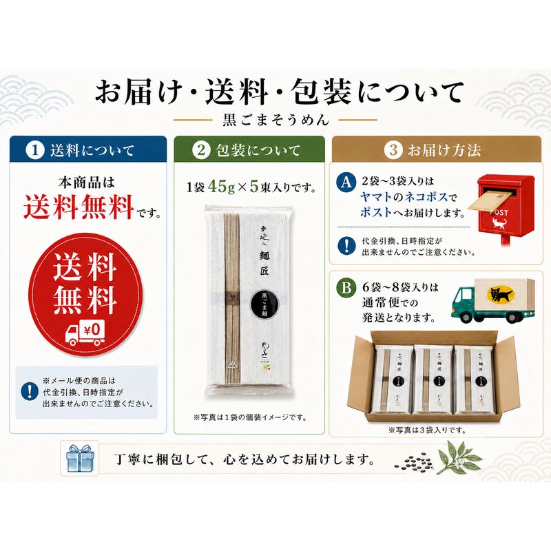胡麻そうめん 島原手延べ 2袋入り(45g×10束) ご自宅用 お試し メール便