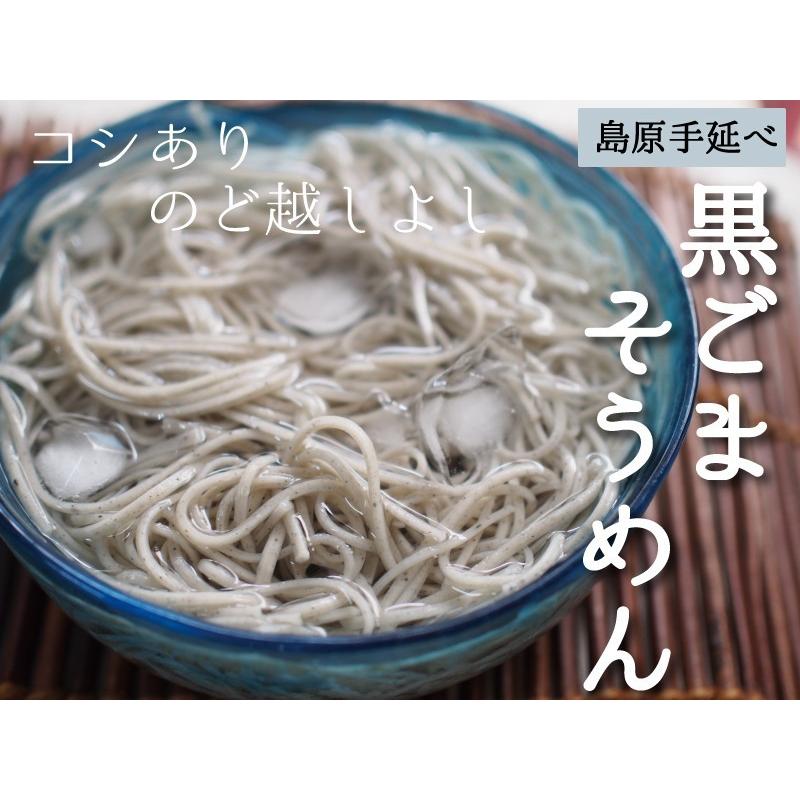 胡麻そうめん 6束入りx6袋 (50g x36束)　御中元 お中元  黒ごまそうめん 金ごまそうめん 島原手延べそうめん 黒胡麻そうめん 島原素麺 ギフト |  | 02