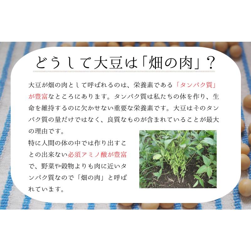 大豆 北海道産 とよまさり 900g　ユキホマレ 国産大豆 味噌 豆乳 豆腐用 味噌作り ネコポス選択で送料無料｜daikichimiso｜09