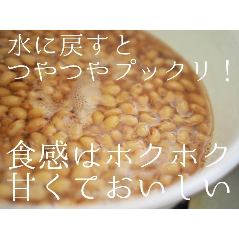 大豆 北海道産 とよまさり 10kg(5kgx2) ユキホマレ 国産大豆 味噌 豆乳