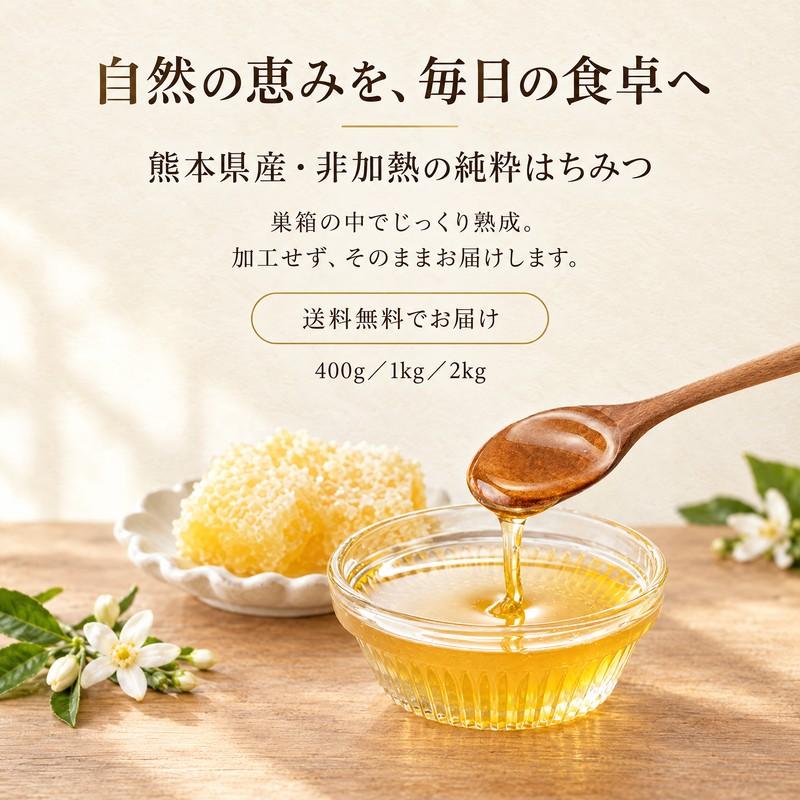 はちみつ 2kg 国産 天然 純粋 生蜂蜜 2025年6月新蜜 【養蜂家直送】 国産 熊本県産 みかんはちみつ 800g(400g x2) 非加熱 純粋はちみつ