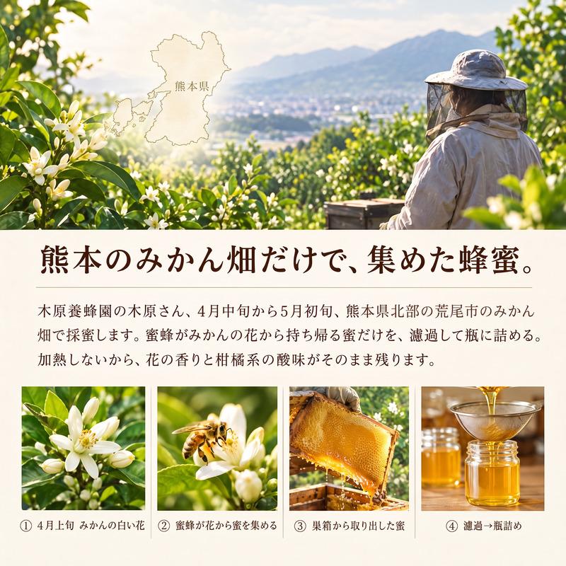 国産 熊本県産 みかんはちみつ 1kg 非加熱 純粋はちみつ 送料無料
