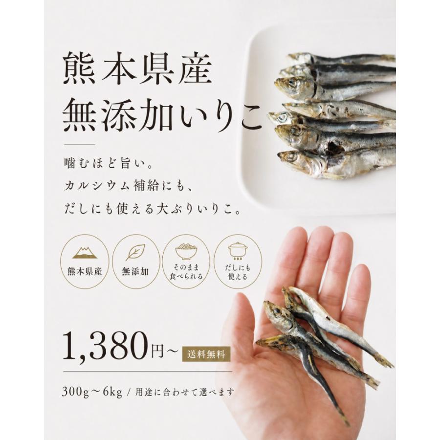 煮干し いりこ 無添加 熊本県産 食べる煮干し 1.5kg おやつ 出汁用