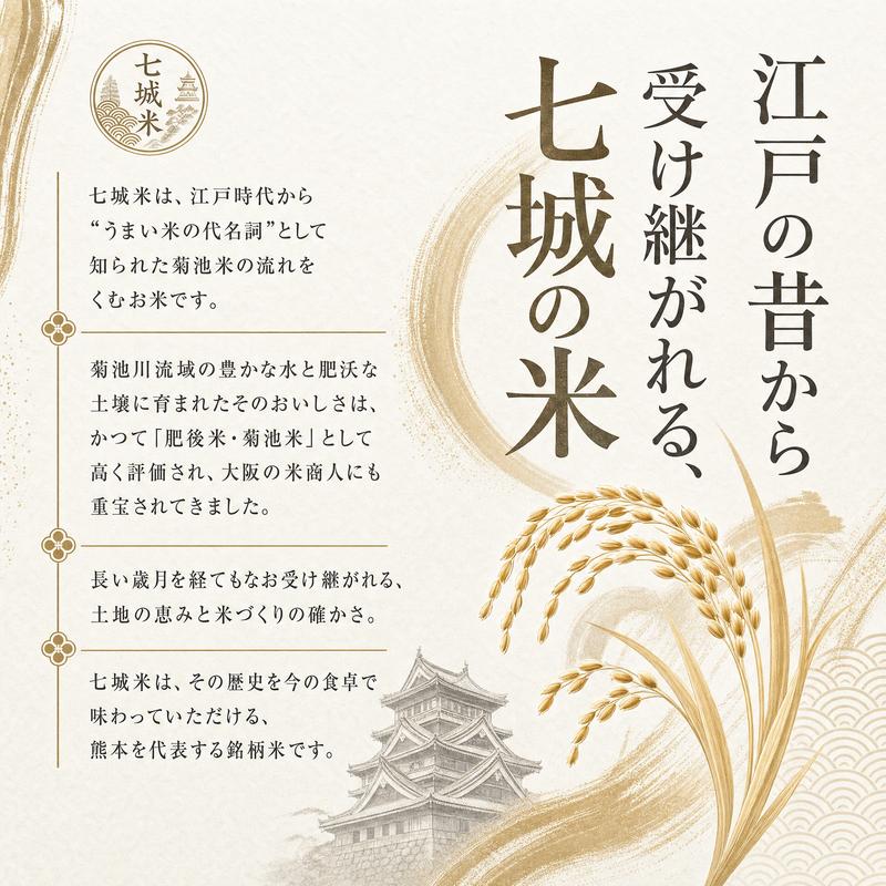 ヒノヒカリ 七城米 10kg (5kg x2袋入り) 令和7年産 七城の米 ひの