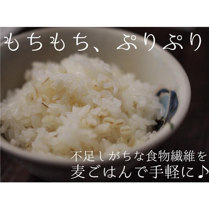 押し麦 押麦 900g 佐賀県産 無添加 麦ご飯 国産 大麦 腸活 便秘解消 食物繊維｜daikichimiso｜02