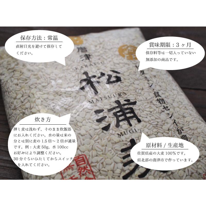 押し麦 押麦 3kg 1kg x3袋入り 佐賀県産 無添加 麦ご飯 国産 大麦 腸活