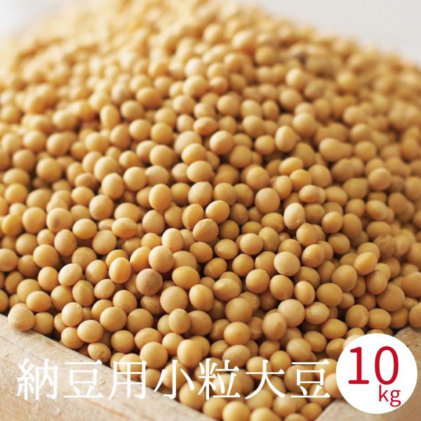 納豆用小粒大豆 10kg 国産 ゆきしずか ユキシズカ 北海道産 非遺伝子