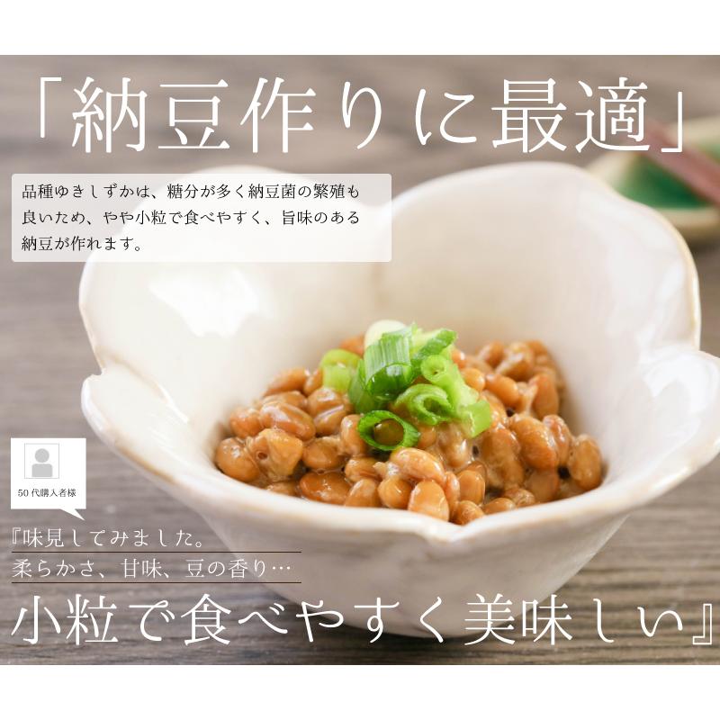 納豆用小粒大豆 10kg 国産 ゆきしずか ユキシズカ 北海道産 非遺伝子