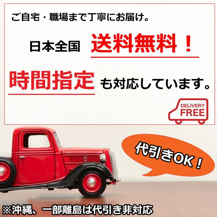 三菱（MITSUBISHI） パジェロ V9 バグガード ボンネットプロテクター