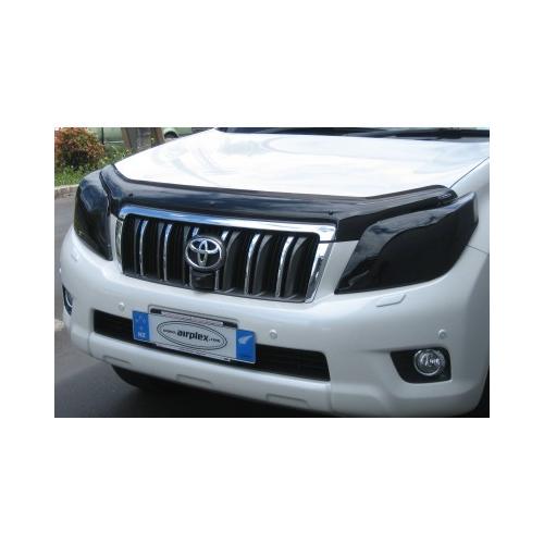 プラド 150 前期 バグガード 虫除け ランドクルーザー チッピングブラック ランドクルーザー 【みんカラ大賞受賞】プラド150前期 バグガード