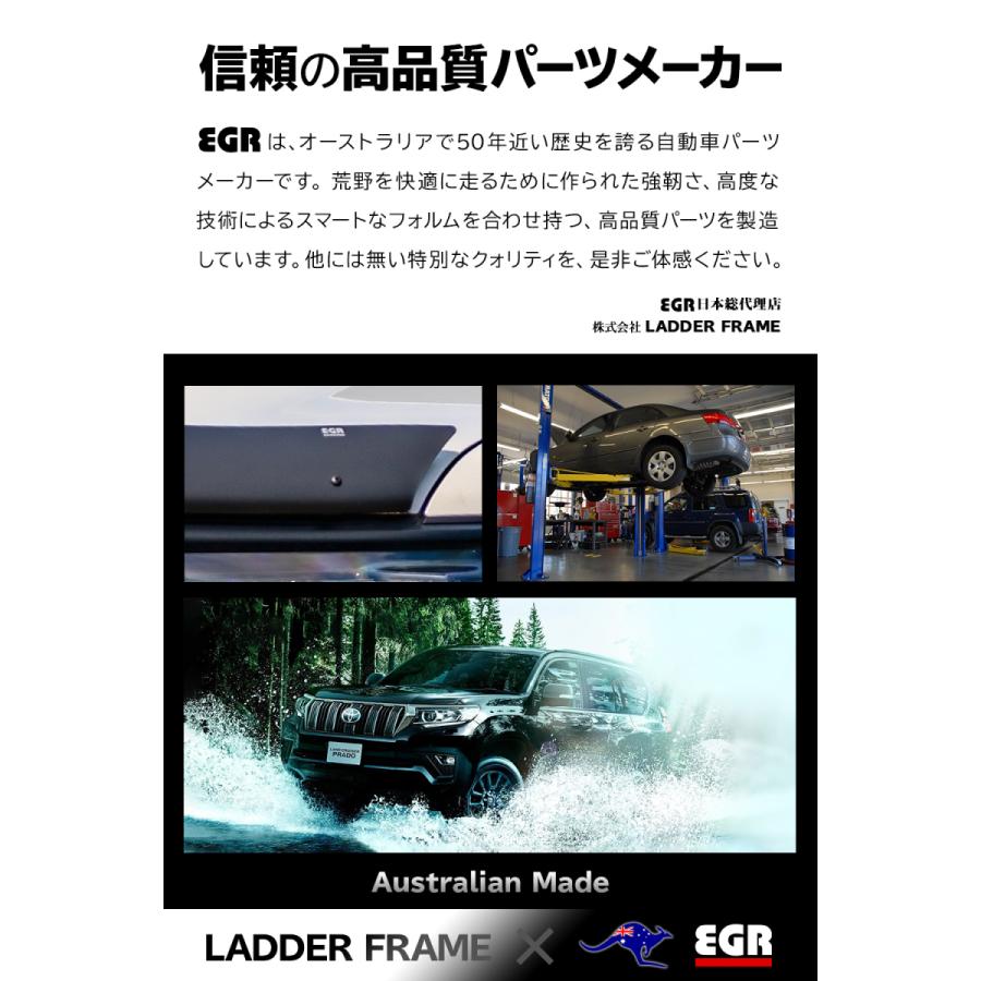 プラド150後期 バグガード つや消し黒 マットブラック パーツ 虫除け TOYOTA ランクルプラド 取付説明書付 オーストラリア製｜daiking-net｜09